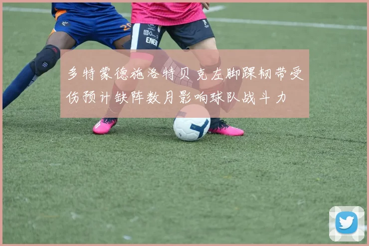 多特蒙德施洛特贝克左脚踝韧带受伤预计缺阵数月影响球队战斗力